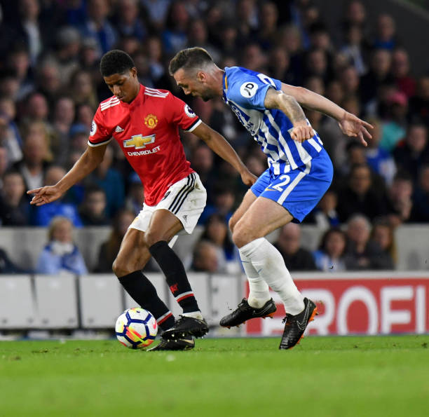 不仅因为他 不仅因为他