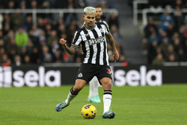 的雪域奇观 的雪域奇观